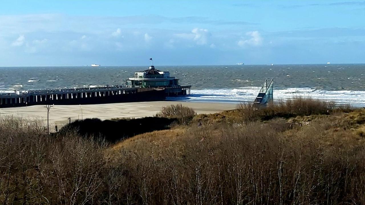 Studio Met Zeezicht Blankenberge Eksteriør bilde