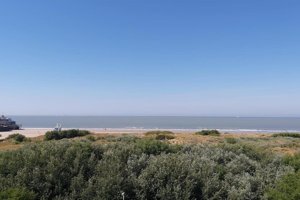 Studio Met Zeezicht Blankenberge Eksteriør bilde